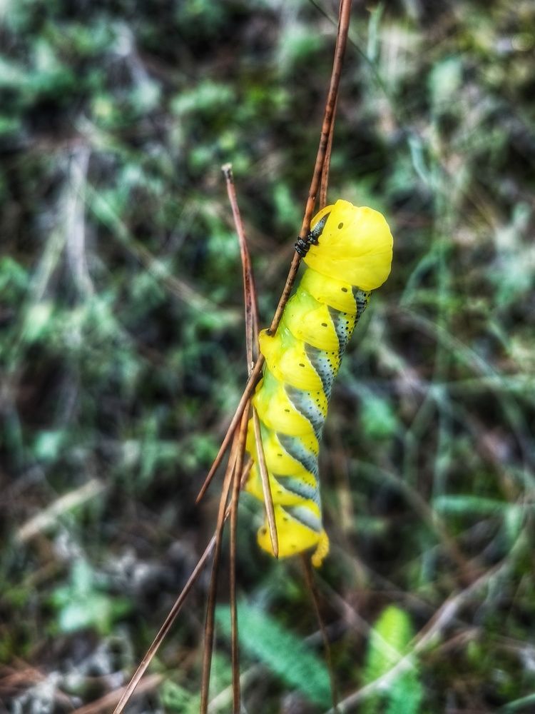 Photograph by Ирина Корх