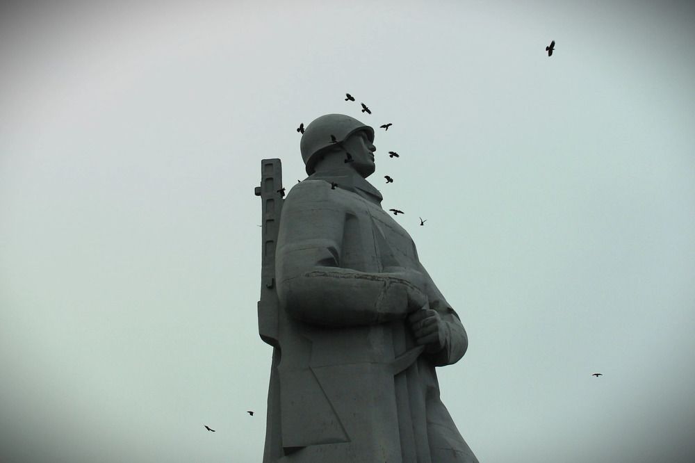 Фотография автора Светлана Терехова