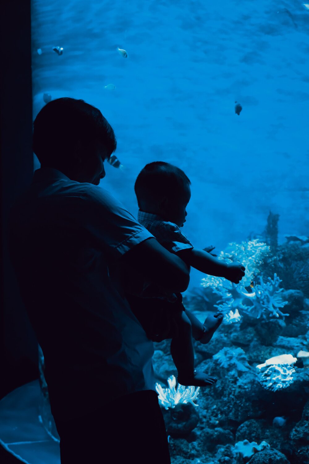 Photo #11332245