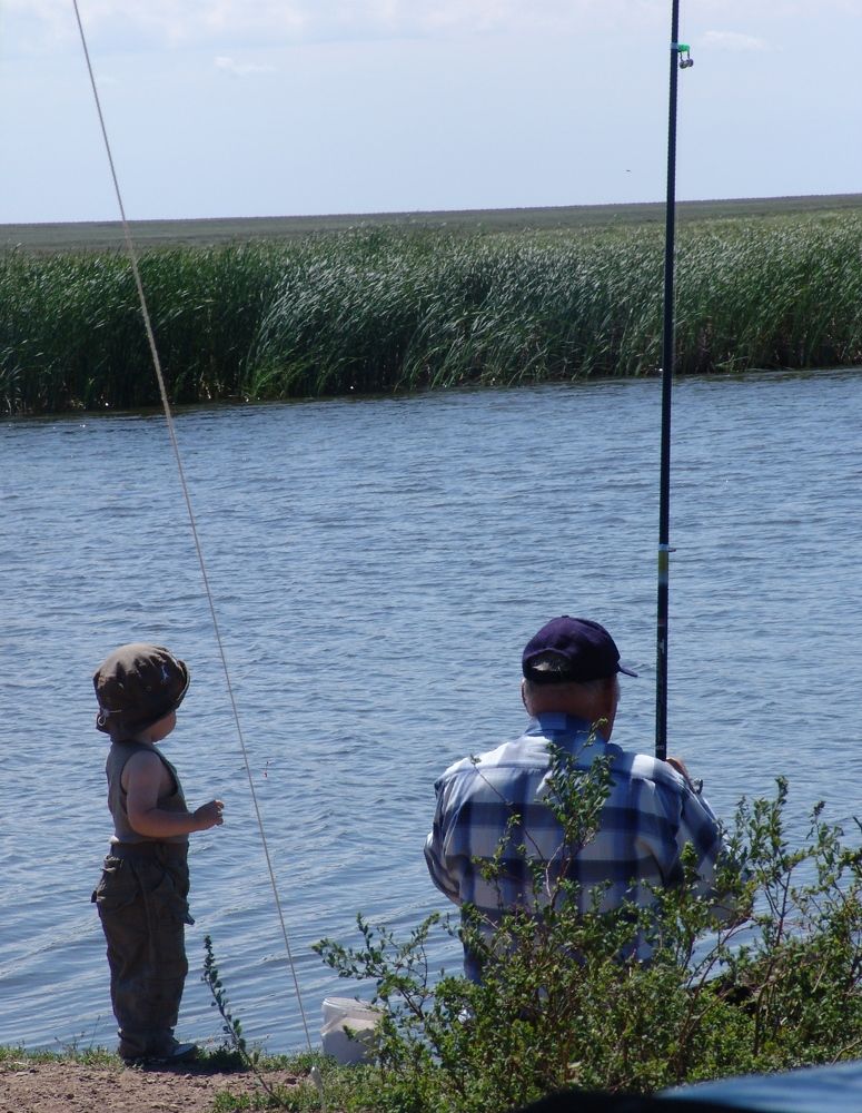 Photograph by Михаил Максимов