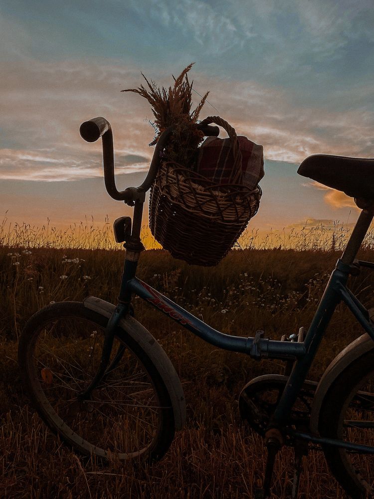 Photograph by Анна Пигулевская