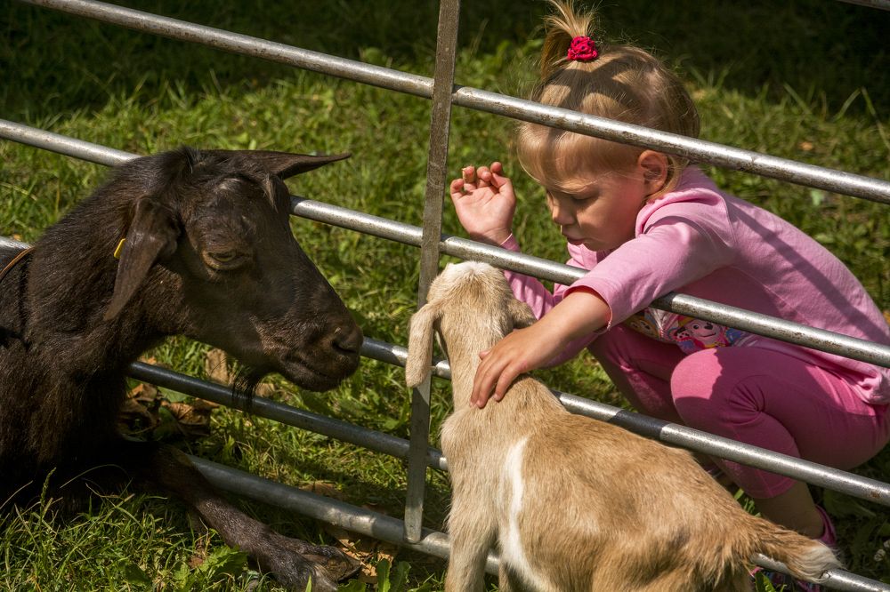 Photograph by Nikolai Barchan