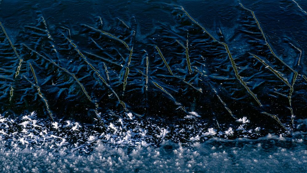 Photograph by Mark Devender