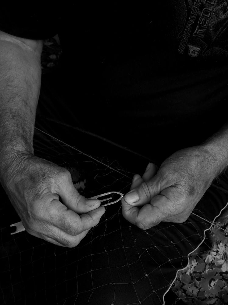 Photograph by Александра