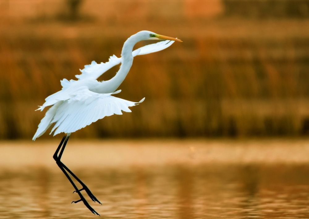 Photograph by Mostafa abyareh