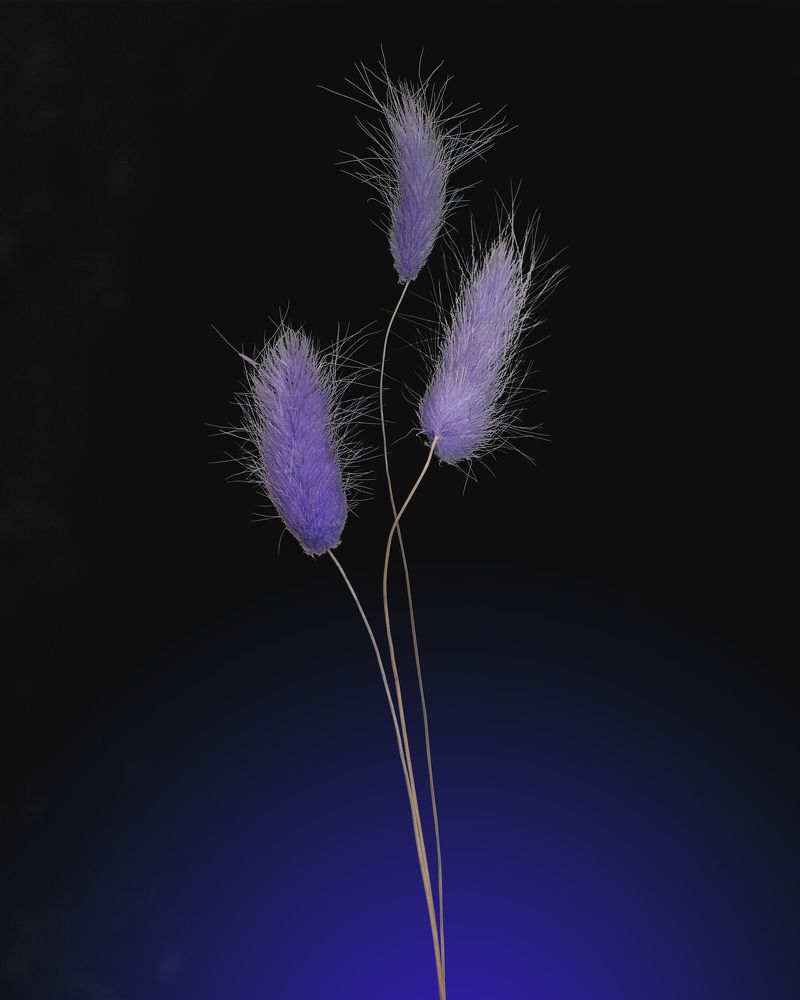 Photograph by Aleksandr Belov