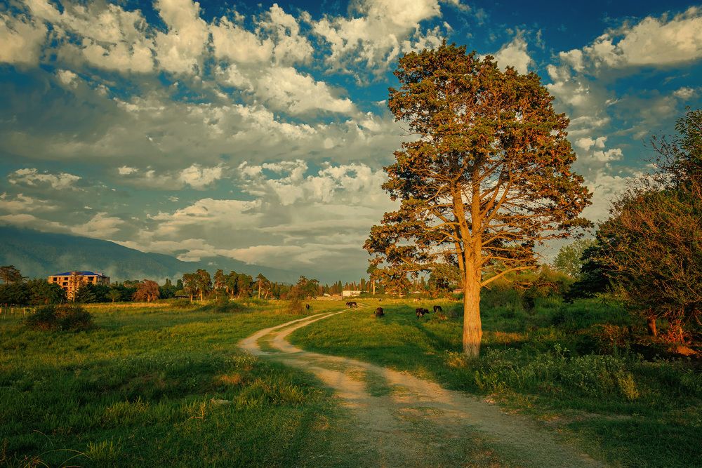 Photograph by Виктор Садырин