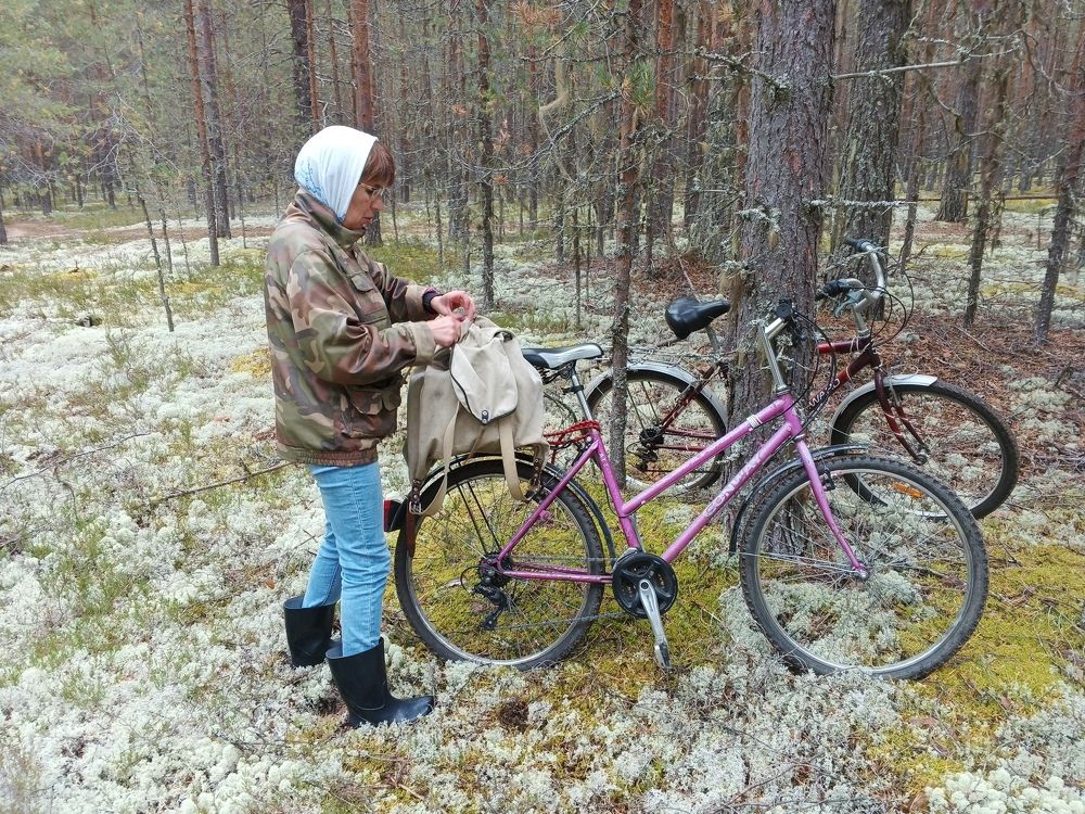 Photograph by Олег Малетин