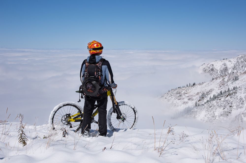 Photograph by Владимир Пронин