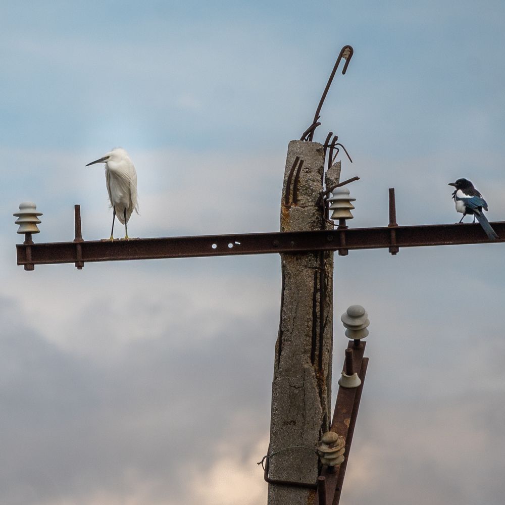 Photograph by Анна Стрелковская