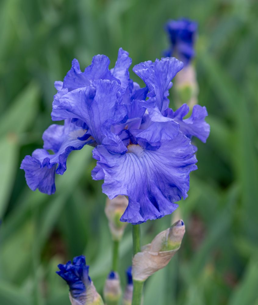 Photograph by Екатерина Крючкова