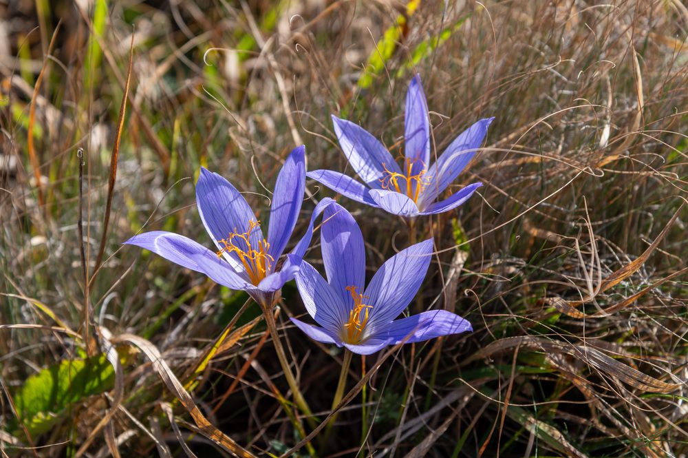 Photograph by Екатерина Крючкова