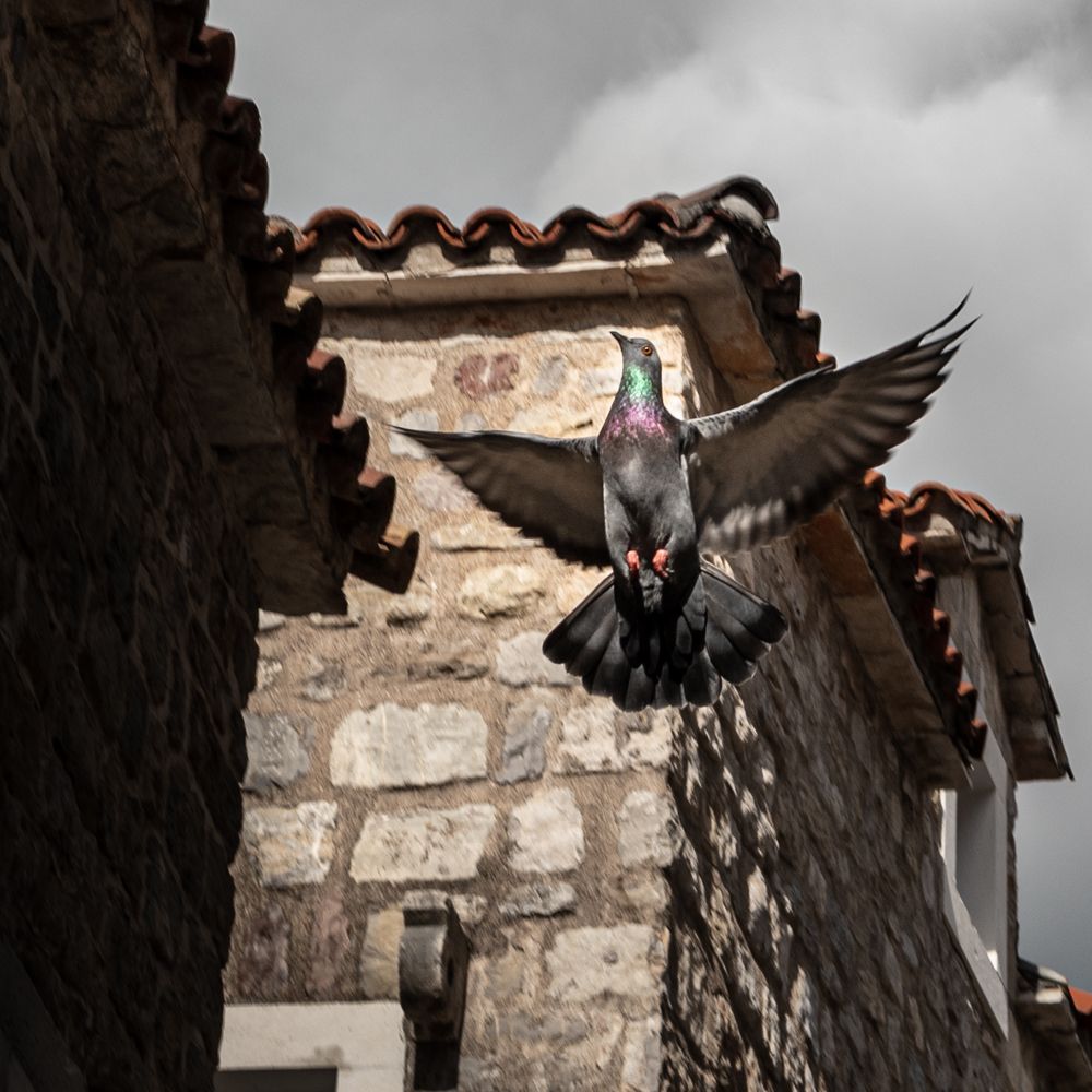 Photograph by Анна Стрелковская