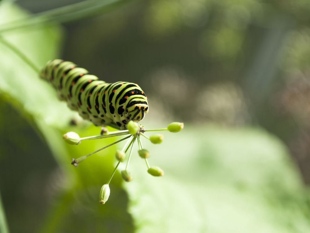 Photograph by Олег Малетин