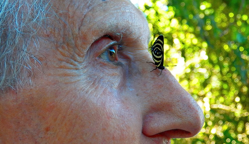 Photograph by Marcelo Luzzi