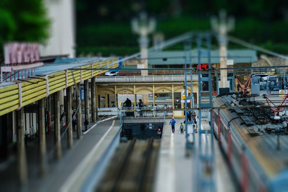 Фотография автора Роман Сергеевич