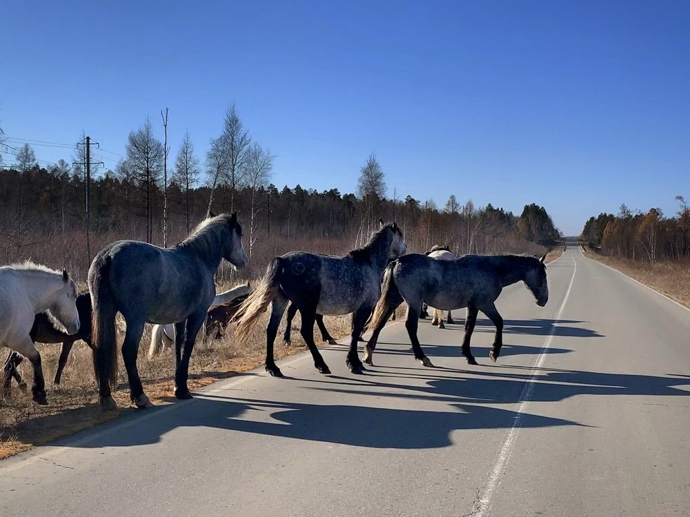 Photograph by Юлия Жолобова