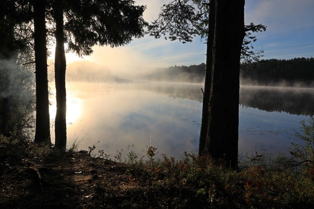 Photograph by Владимир Копков