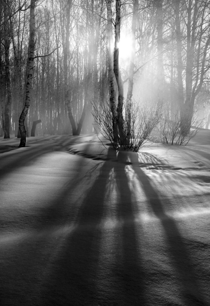 Фотография автора Кухта Мария