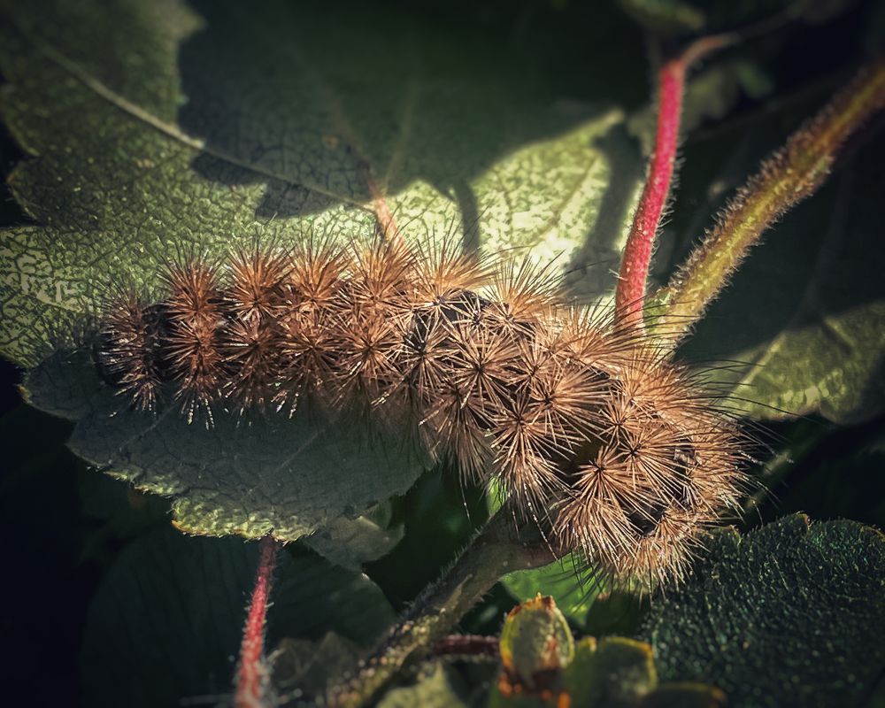 Photograph by Ольга Дорошенко