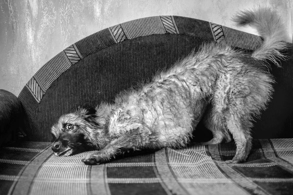 Photograph by Альфия Агзами