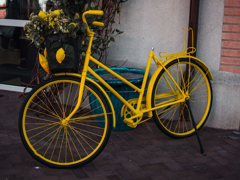 Photograph by Элен Пройс