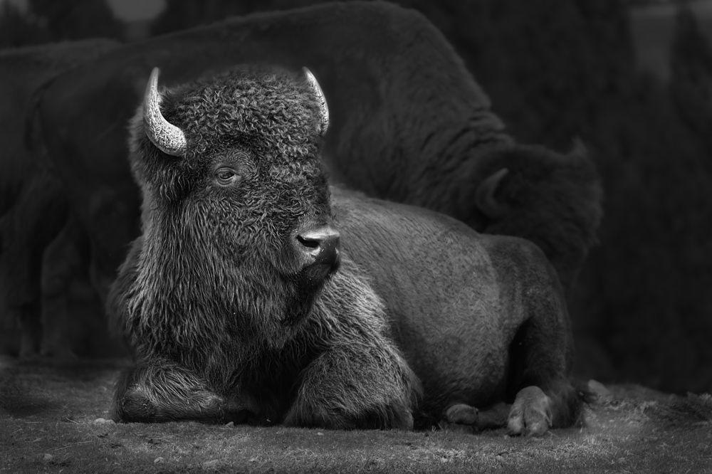 Photograph by Kaisyakuji Yushi