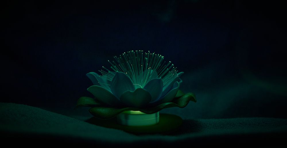 Photograph by Михаил