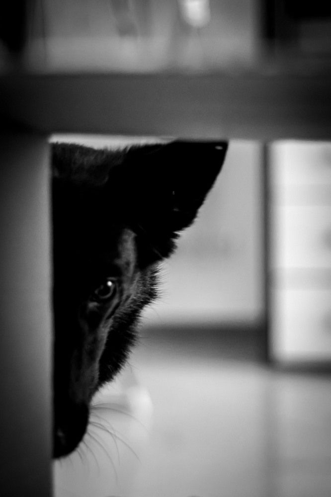 Photograph by Ekaterina Lougovaya