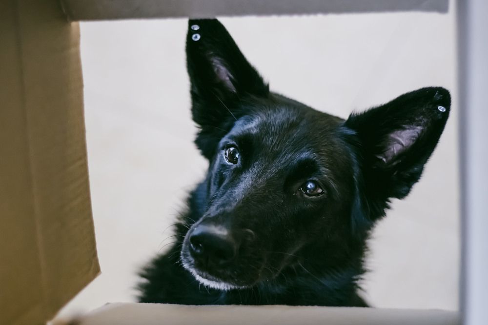 Photograph by Ekaterina Lougovaya