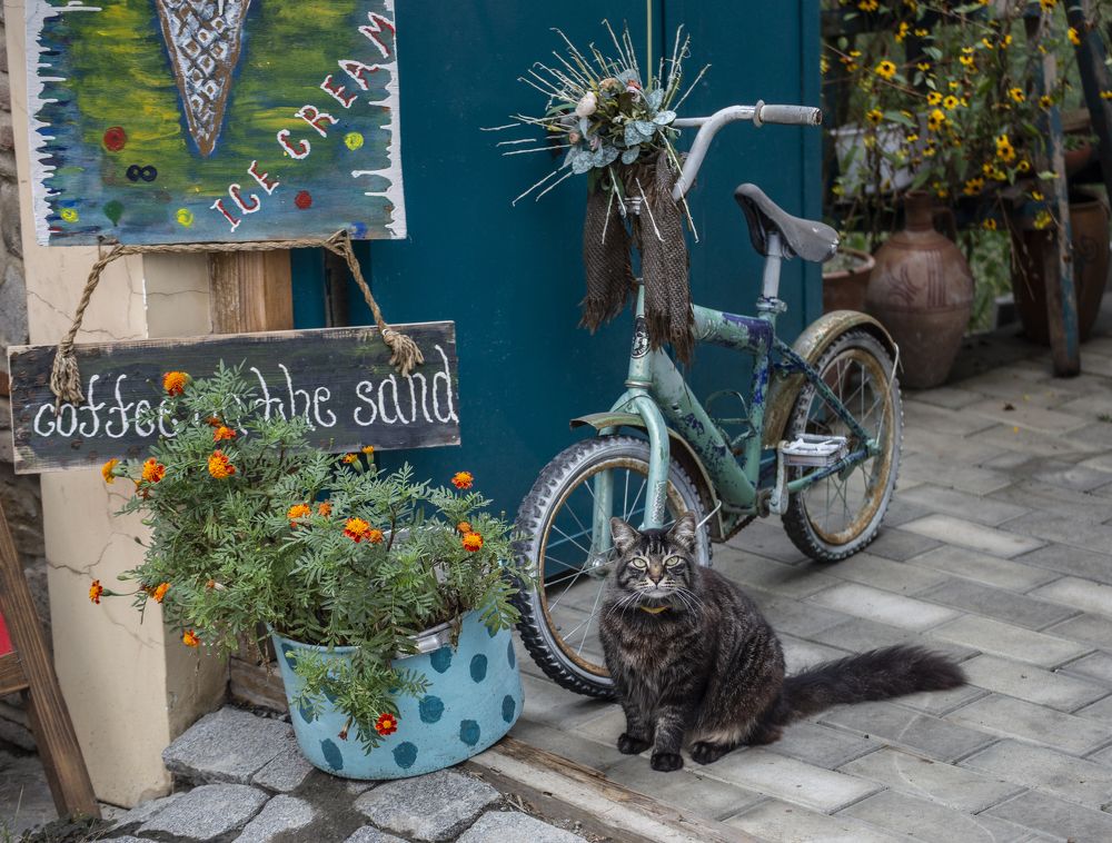 Photograph by Leanid Kulpo