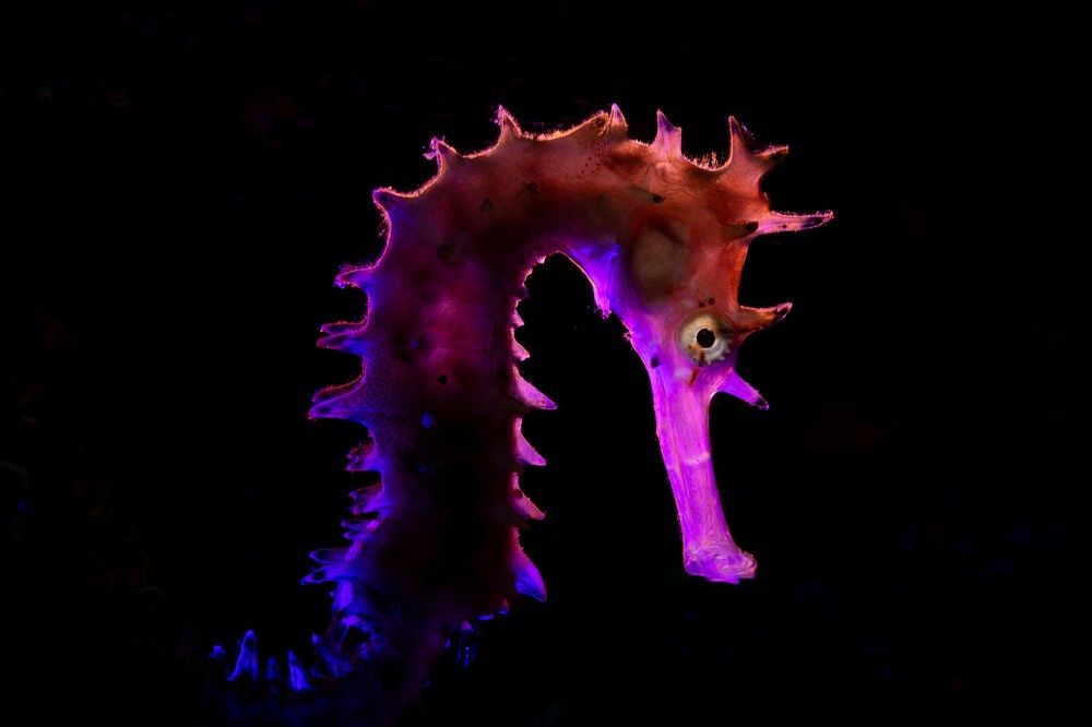 Photograph by Deniz muzaffer Gokmen