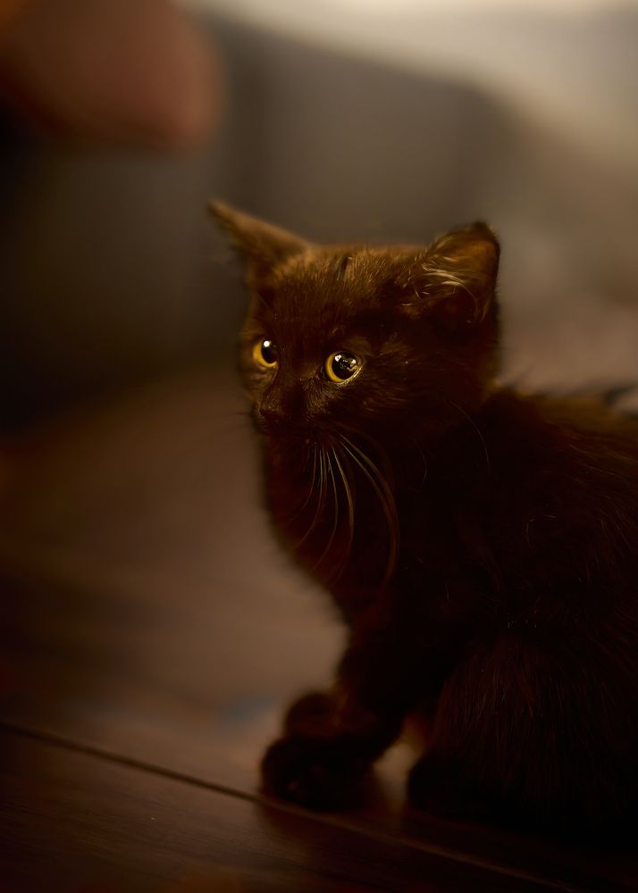 Photograph by Kaisyakuji Yushi