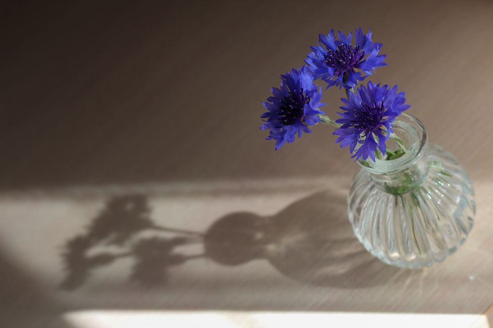 Photograph by Анна Зайченко