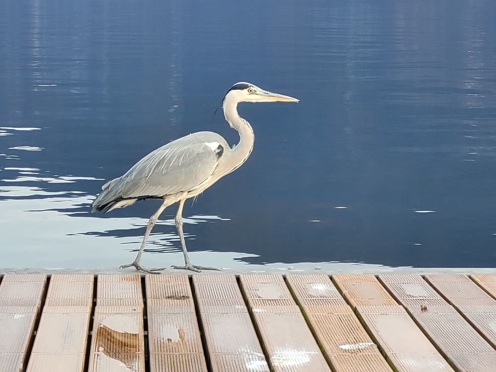 Photograph by Catherine Walter-Prêtre