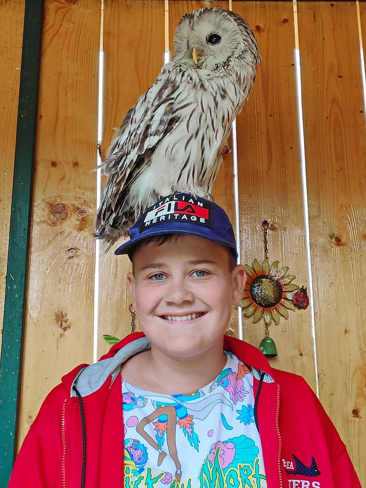 Photograph by Виталий Черепенькин