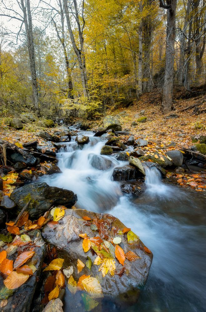 Photograph by Alexander Ornatskiy