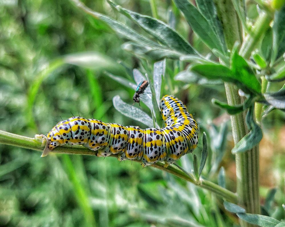 Photograph by Leanid Kulpo