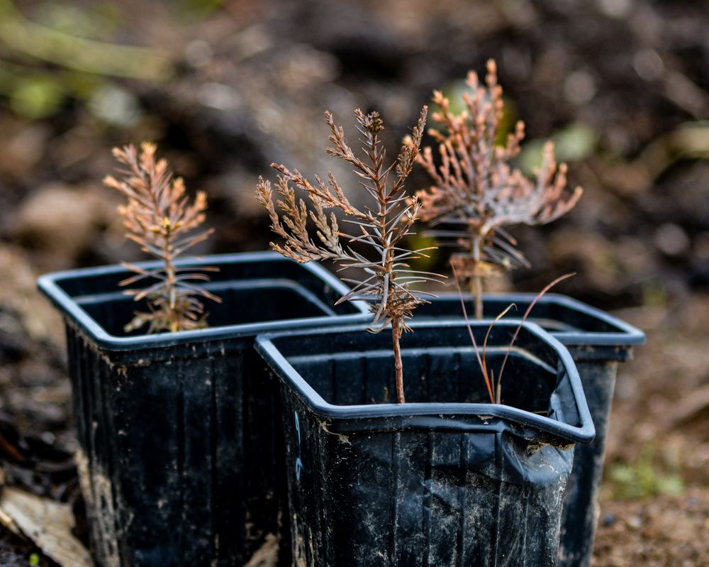 Photograph by Сергей Гуров