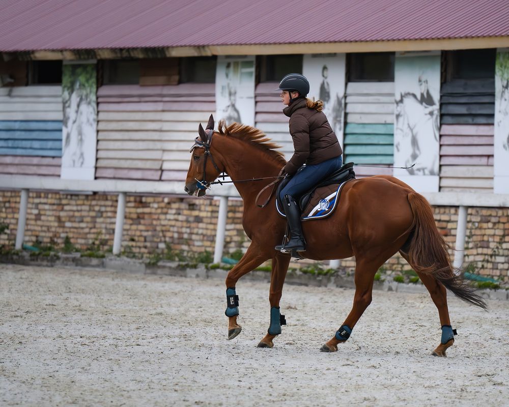 Photograph by Данил Шауба