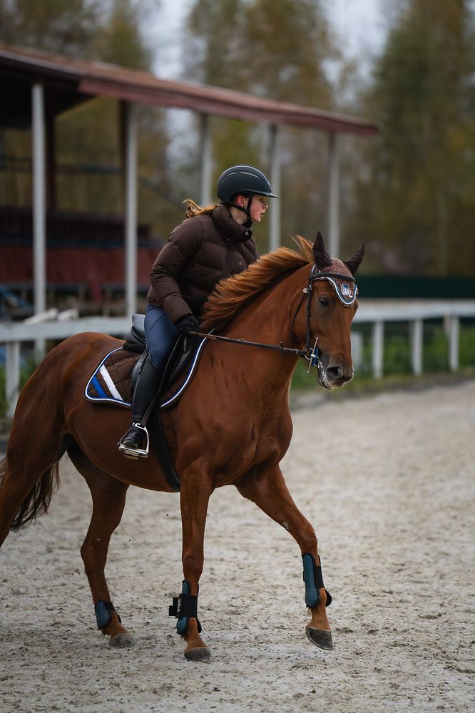 Photograph by Данил Шауба