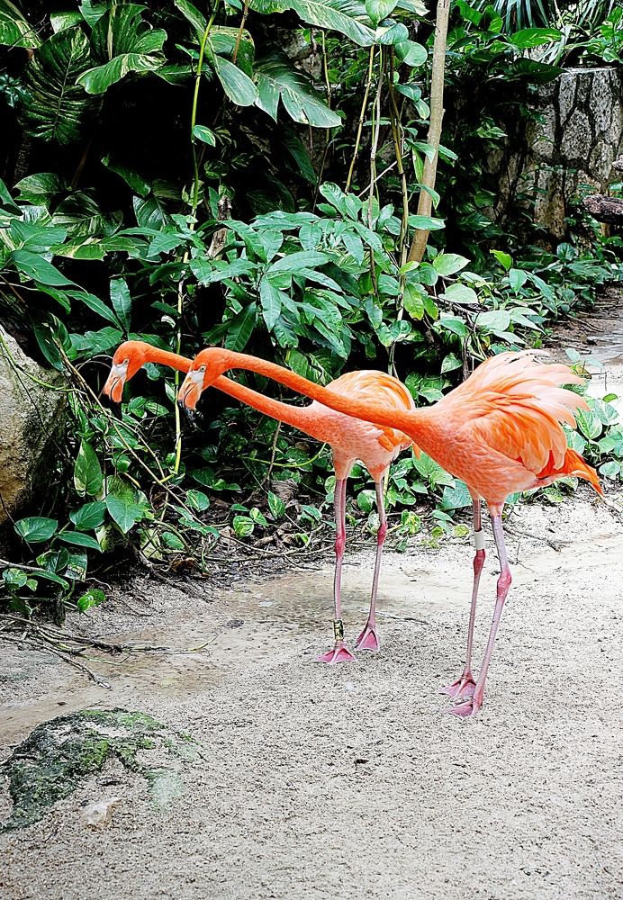 Photograph by  Валентина