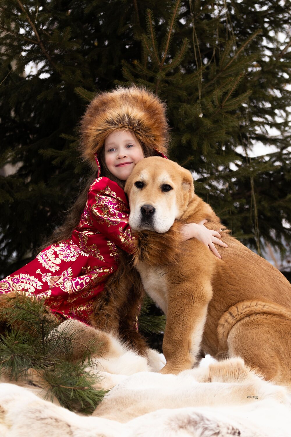 Photo #11332986
