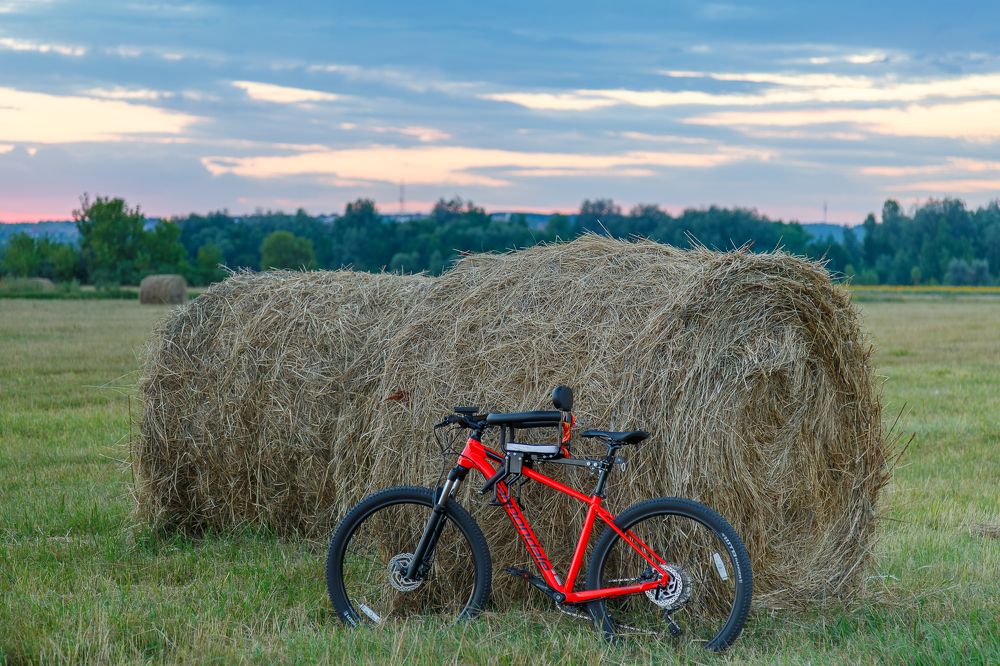 Photograph by Максим Шелякин
