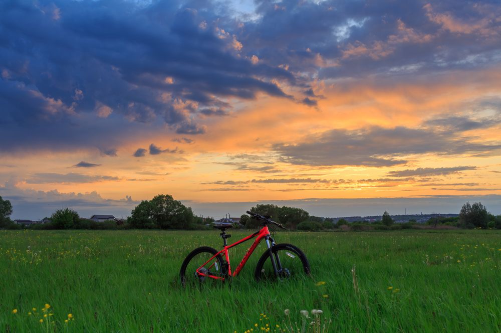 Photograph by Максим Шелякин