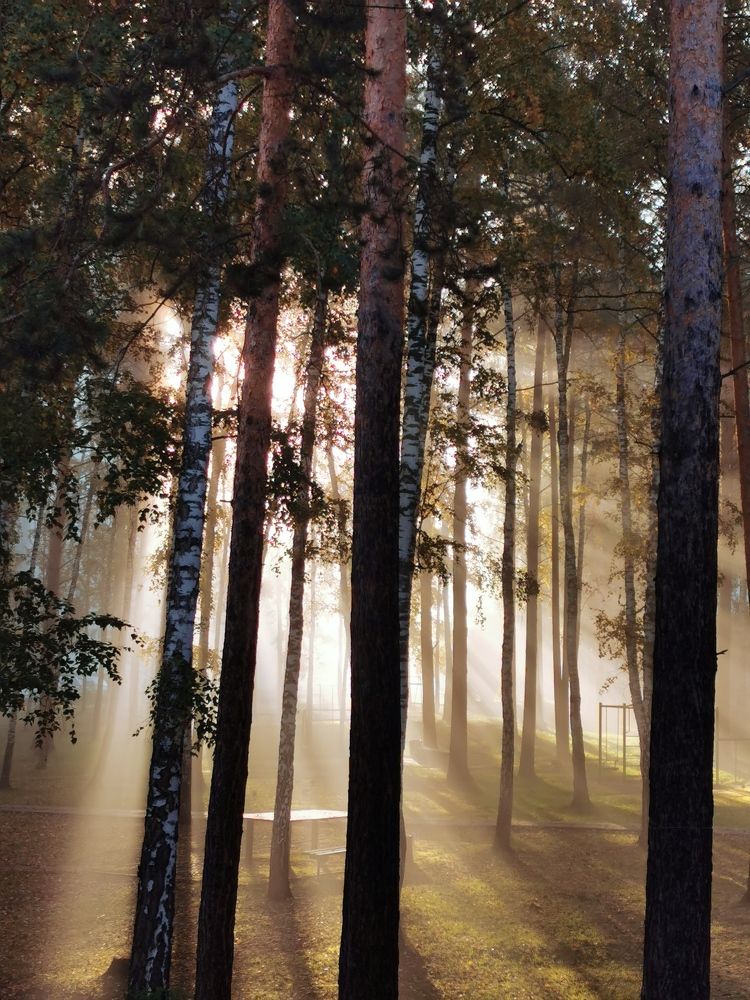 Фотография автора OLGA Dmitryachkova