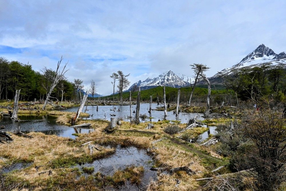 Photograph by Дарья Булавина