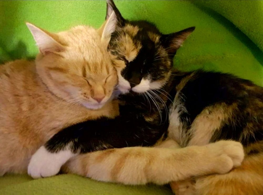 Photograph by Catherine Walter-Prêtre