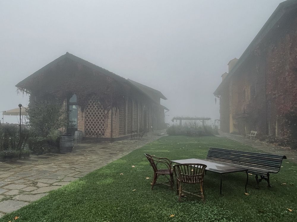 Фотография автора Olga Alekseeva