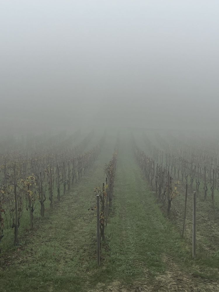 Фотография автора Olga Alekseeva